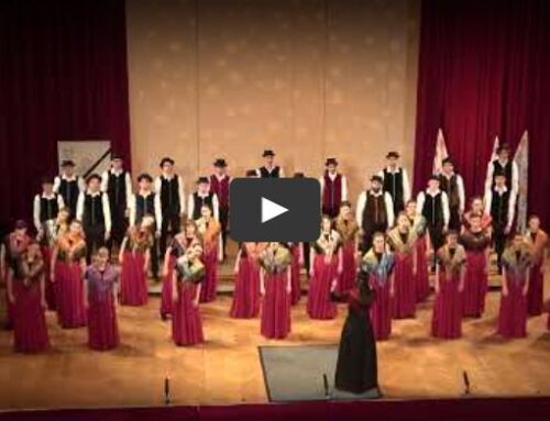Videogallery of individual concerts of the competition now available
